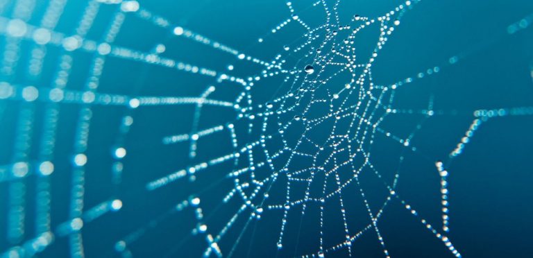 Realizare site web – Cum sa avem propriul site (P)