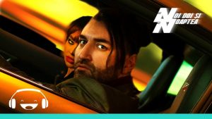 smiley noi doi si noaptea